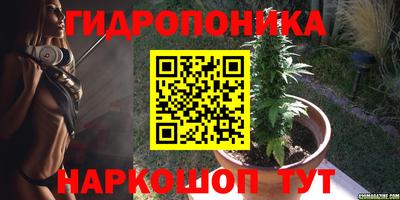 дживик Волжск