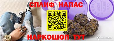 дживик Волжск