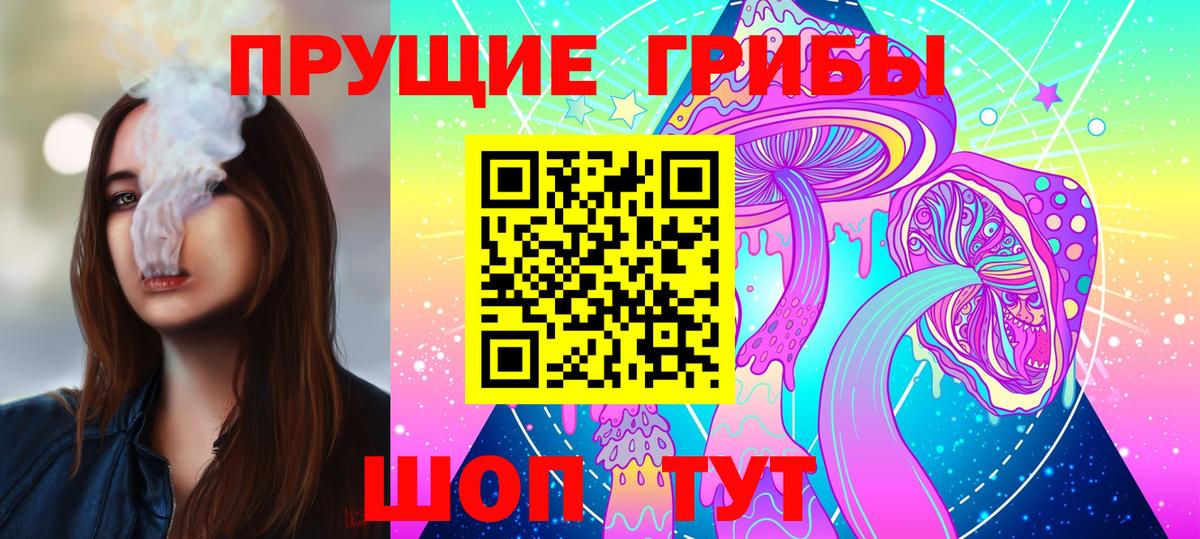 Галлюциногенные грибы Psilocybine cubensis  Вход с VPN  Новокуйбышевск 