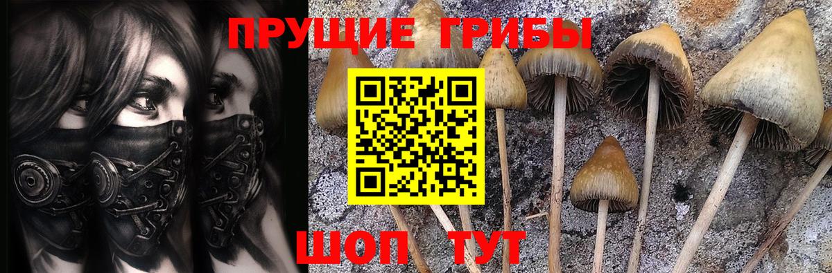 Псилоцибиновые грибы Magic Shrooms Новокуйбышевск